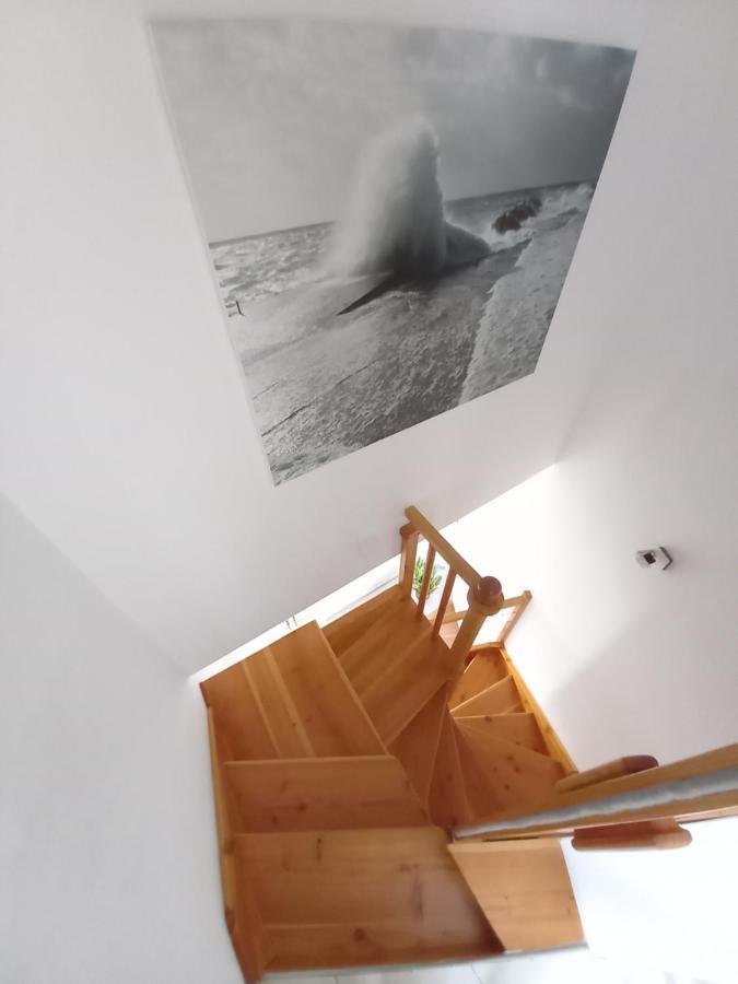 Ayla House